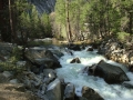 Yosemite NP
